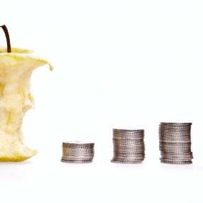 profit margins
