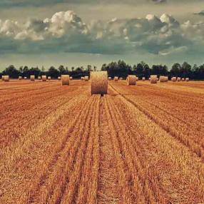 6 Reasons Why You Need Agribusiness CRM