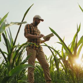 agribusiness CRM