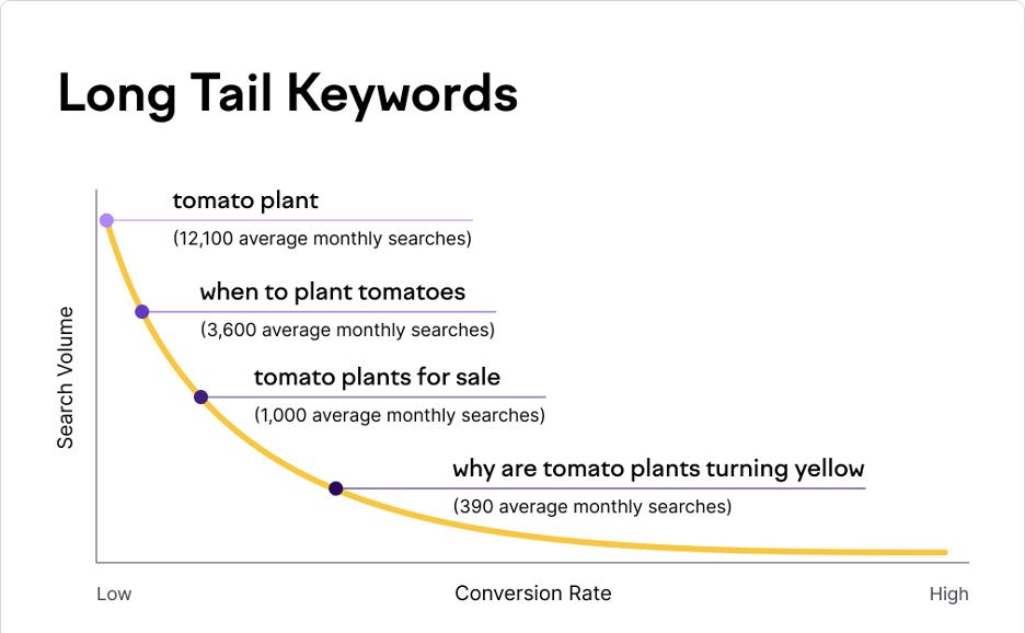 longtail keywords graph